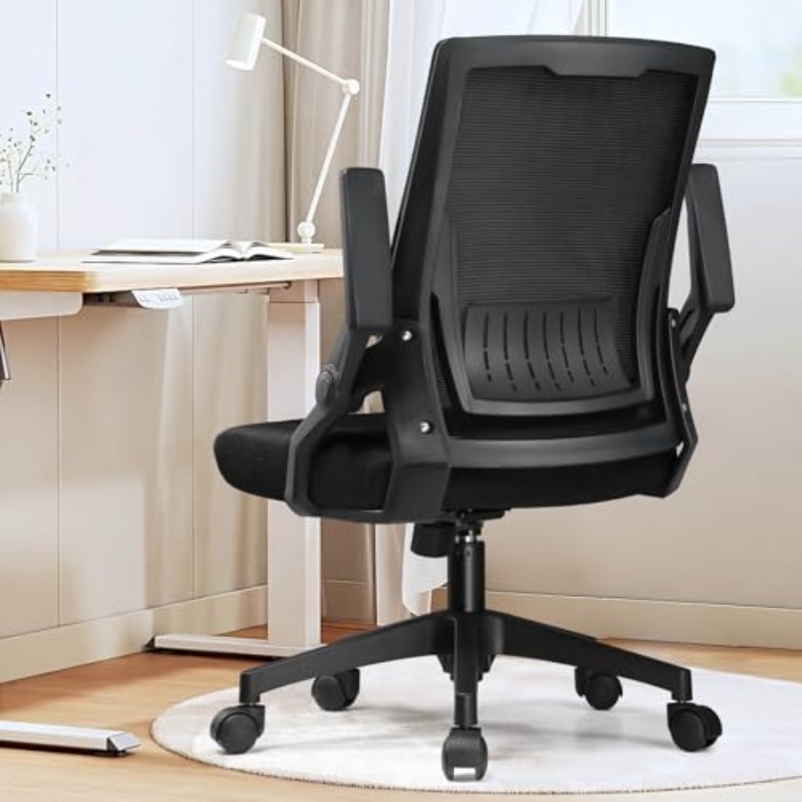 Sedia da Ufficio Ergonomica co - Home Office Chair recensione e prezzo