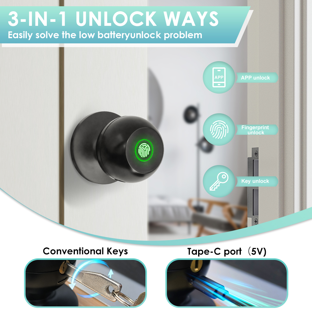 Tuya Serratura elettronica Ser - Home Office Immigration recensione e prezzo