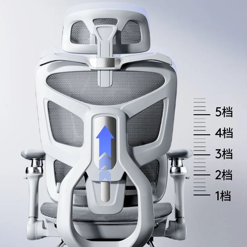 Sedia Ergonomica da Ufficio co - Home Office Chair recensione e prezzo